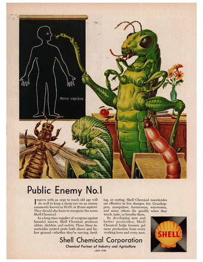 Shell Chemical Public Enemy No.1 Insect Ad circa. 1959
